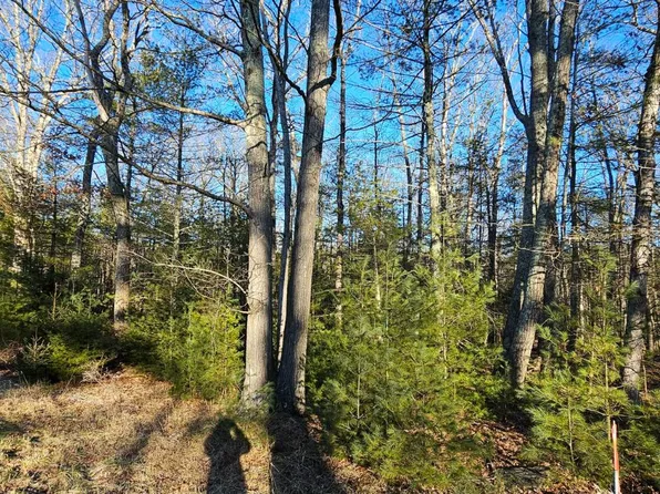 LOT 57.1 Yulan Barryville Rd, Youngsville, NY 12791