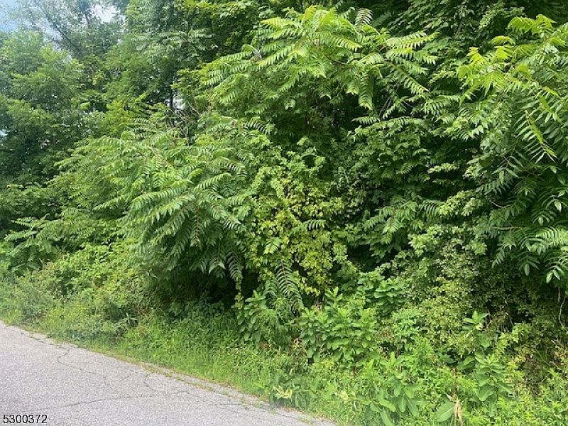 2nd image of 26 Arrowhead Dr