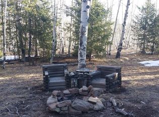 1912 Campfire Rd, Hartsel, CO 80449