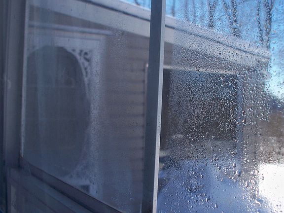 View from entertainment room