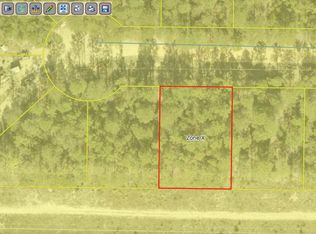 12 Cowslip Ct, Defuniak Springs, FL 32433