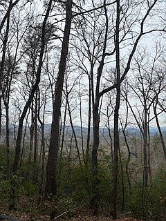 2nd image of 0 Winchester Creek Rd