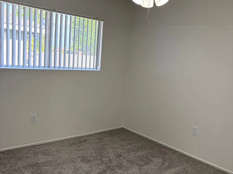 saf2229 — Photo 11