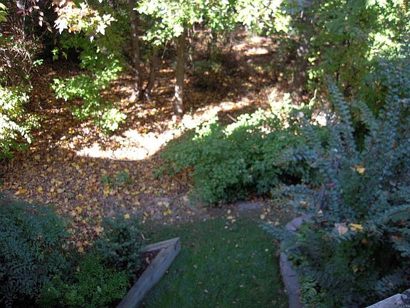 Back To Real Woods!!