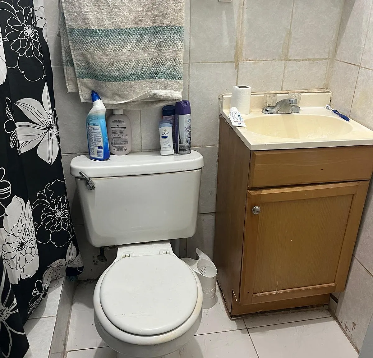 1 bed, 1.0 bath, 1459 sqft, $1,100 — Photo 2