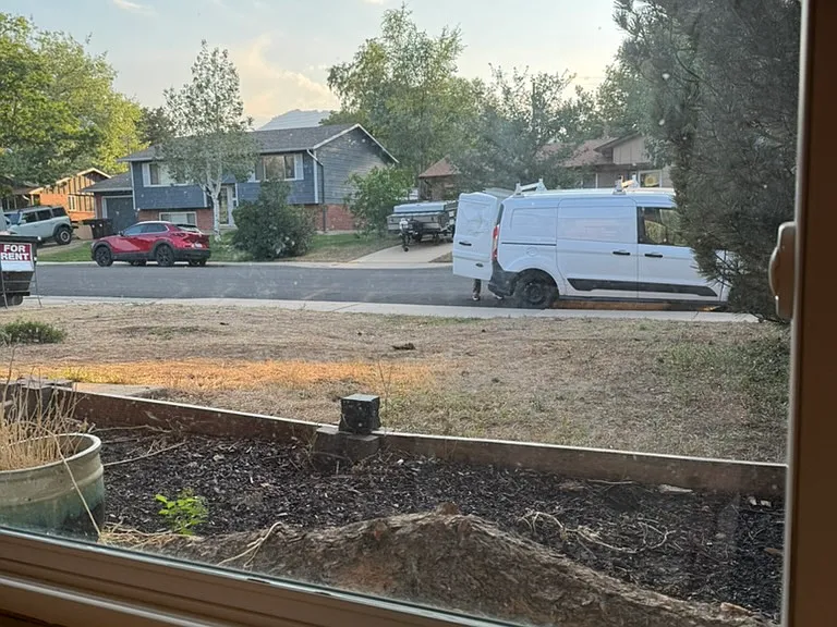 view from west facing lower garden level bedroom