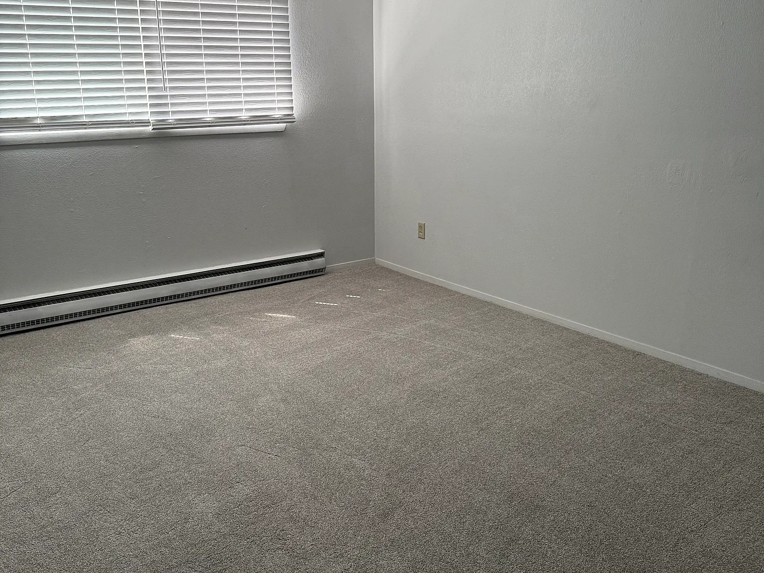 3 bed, 1100 sqft, $3,750 — Photo 3