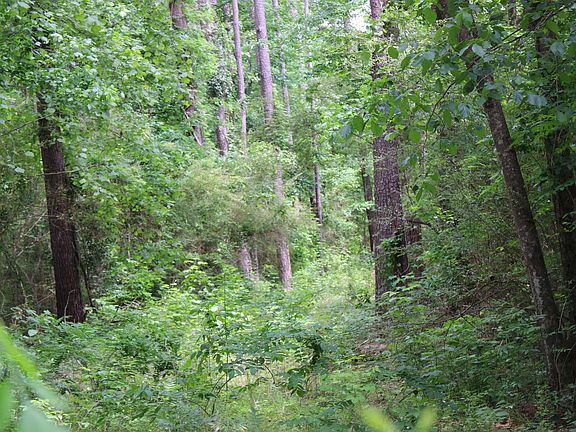 4th image of 0 Wooten Rd