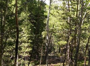 30041 Marys Dr, Conifer, CO 80433