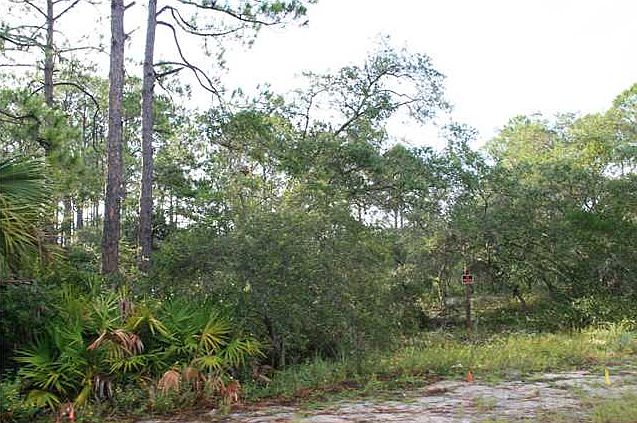 2nd image of 15 Ward St