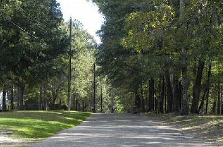 2nd image of 205 Gum Tree Ln