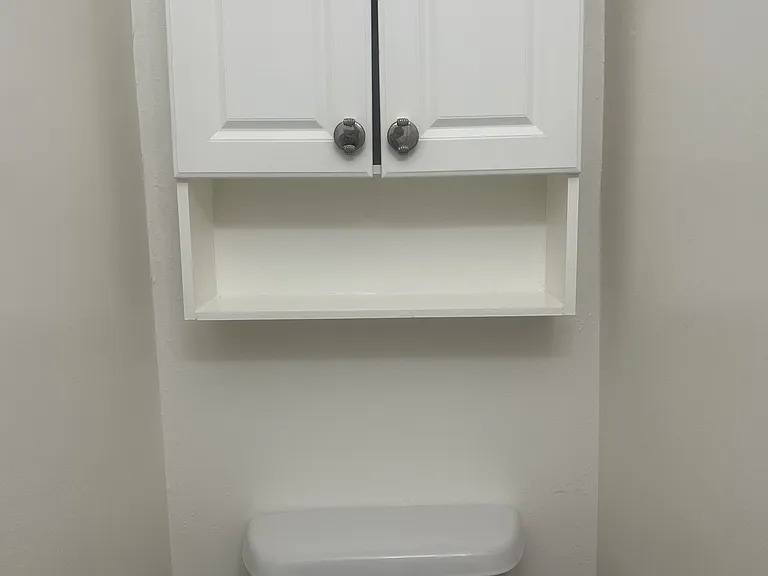 Bathroom storage/medicine cabinet
