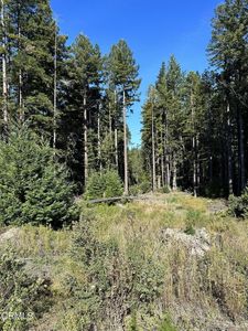 0 Cameron Road, Elk, CA, 95432
