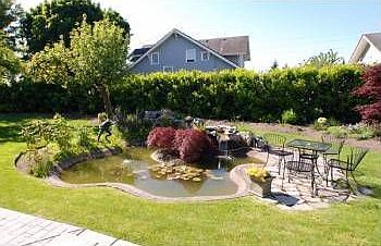 Garden Pond
