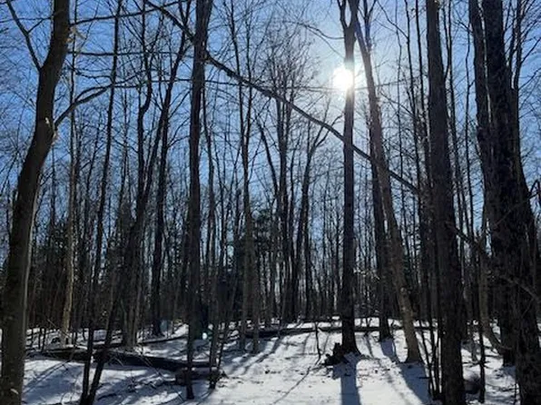 440 Riding Ranch Rd, Machar, ON P0A 1X0