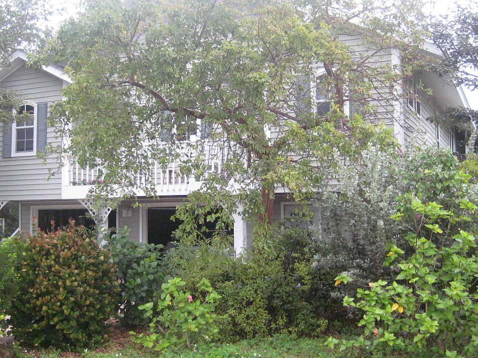 Lush landscaping