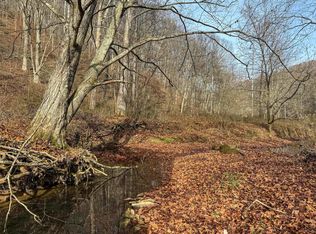 797 Big Elk Rd, Wallace, WV 26448