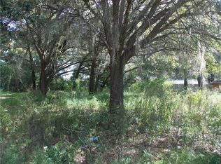 910 Talladega St, Leesburg, FL 34748