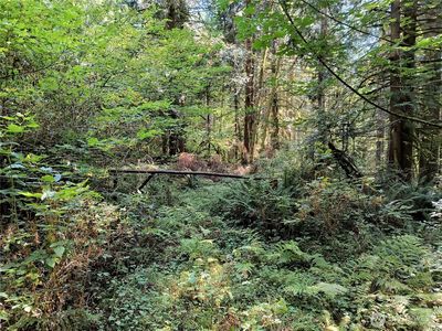 300000 Draggart, Monroe, WA, 98272