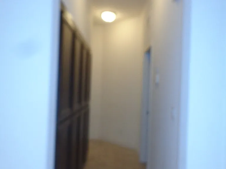 2140 Cling Dr — Photo 12