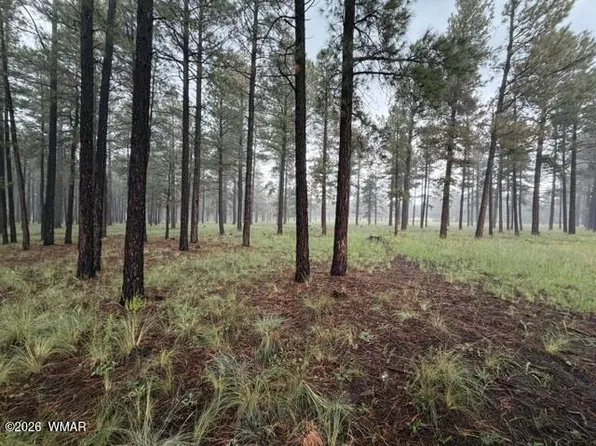 38650 State Route 373, Greer, AZ 85927