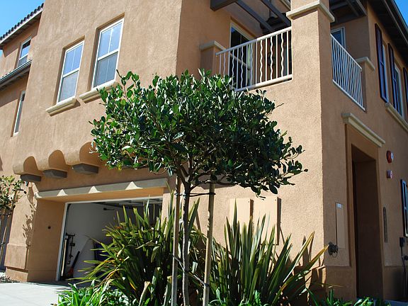 4th image of 2037 Silverado St