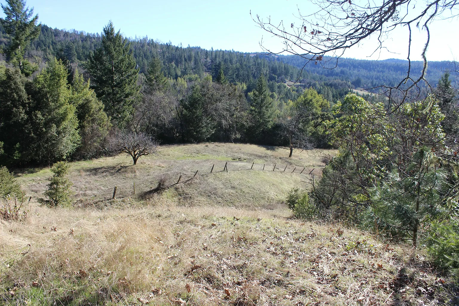 855 Zenia Bluff Rd photo 1