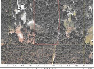 12357 SW 38th Ter, Webster, FL 33597