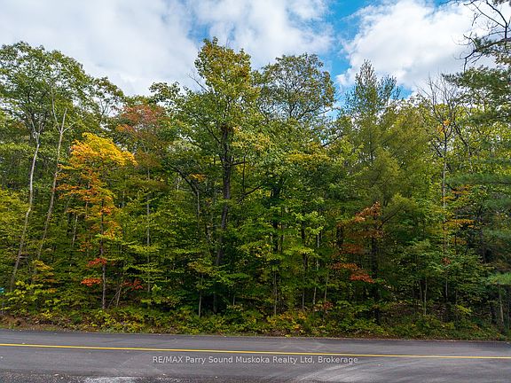 4th image of 17 Oakridge Rd N