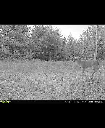 2nd image of 8 Of Lake Forest Ests