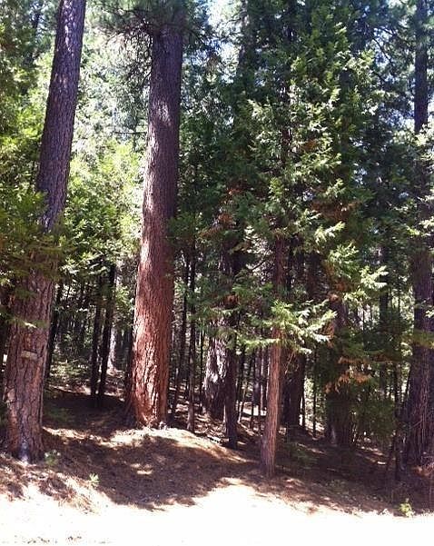 1st image of 5373 Wooded Glen Dr