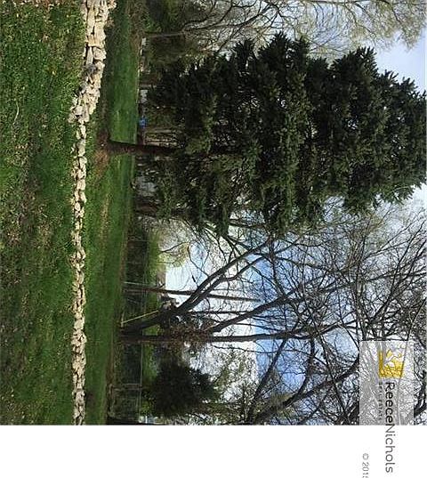 Gorgeous Lot on a Tree lined street in Longfellow
