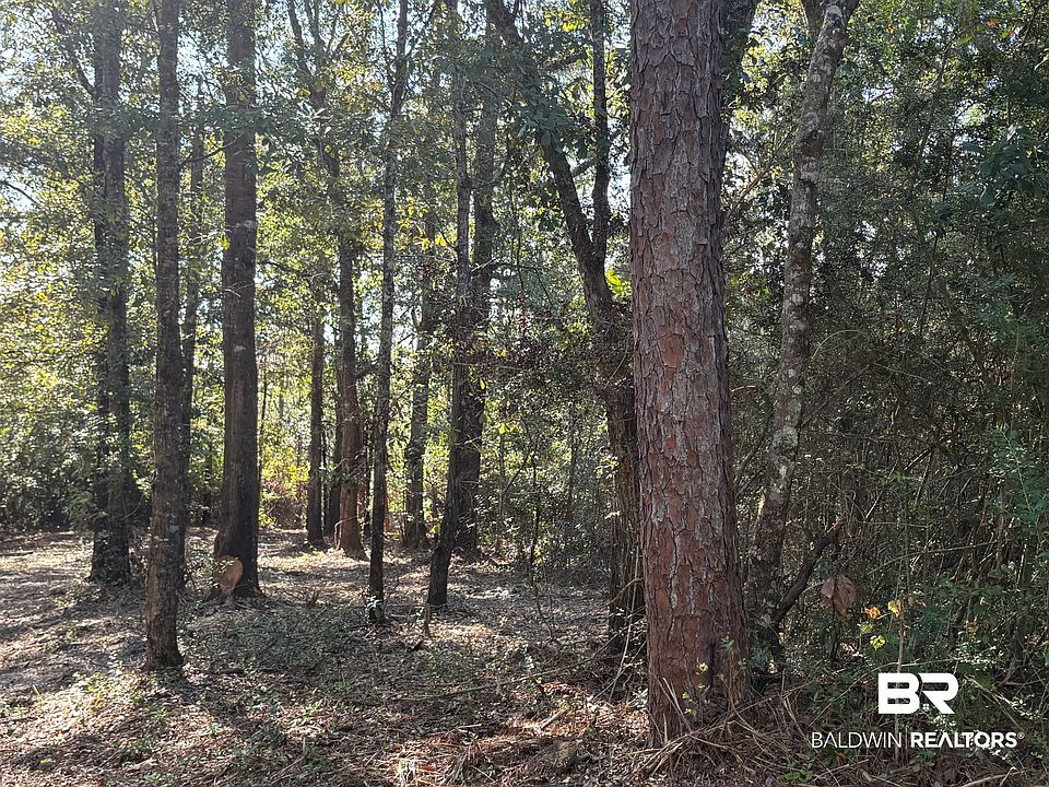 1st image of 40703 County Road 39