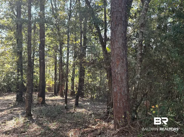 40703 County Road 39, Bay Minette, AL 36507