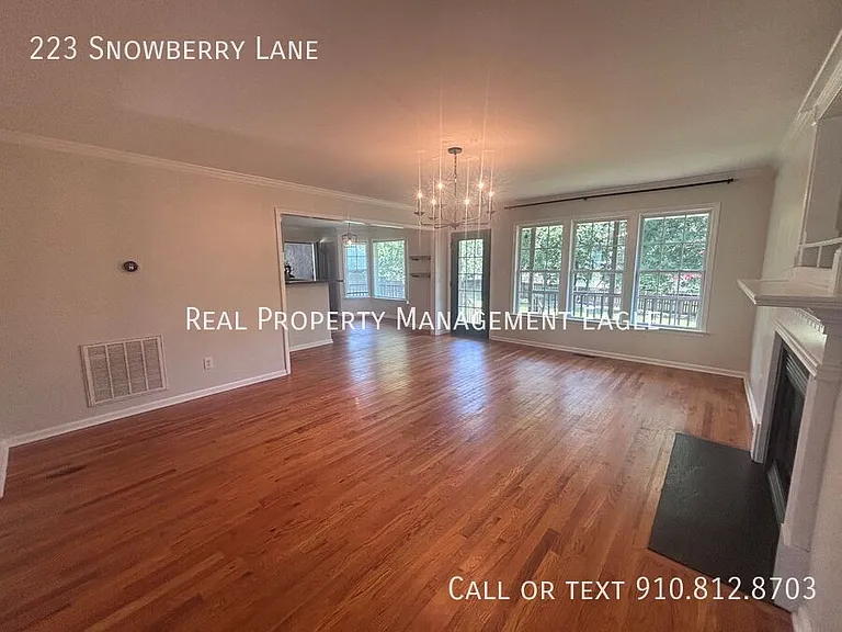 223 Snowberry Ln — Photo 8