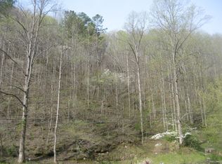 4698 Ells Branch Rd, Manchester, KY 40962