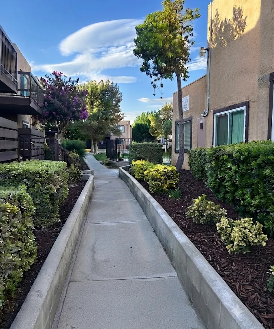 Newport Village Apartments — Photo 4
