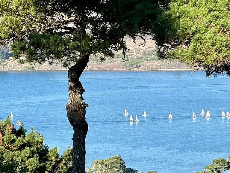 Via De La Vis — Photo 11