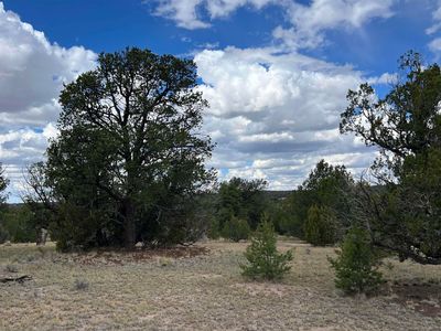 Deer Run Trl, Pie Town, NM, 87827