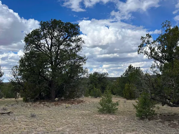 Deer Run Trl, Pie Town, NM 87827