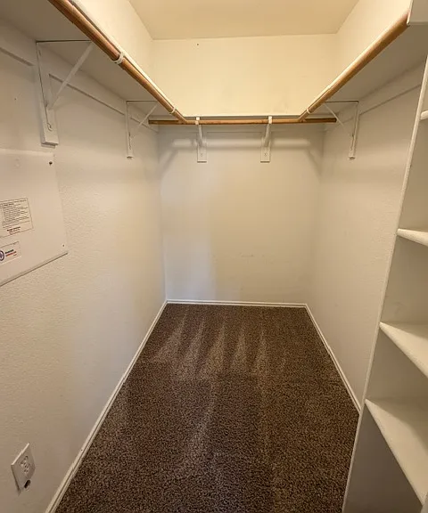 505 Ame Ln — Photo 13