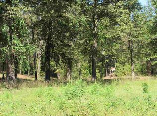 2 Cedar Creek Rd, Center Ridge, AR 72027