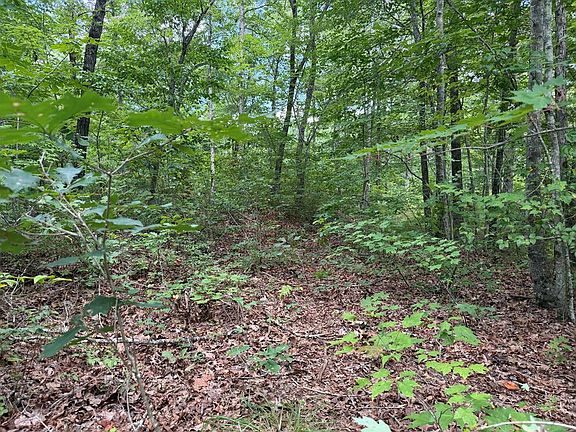 3rd image of 138 Harris Creek Dr