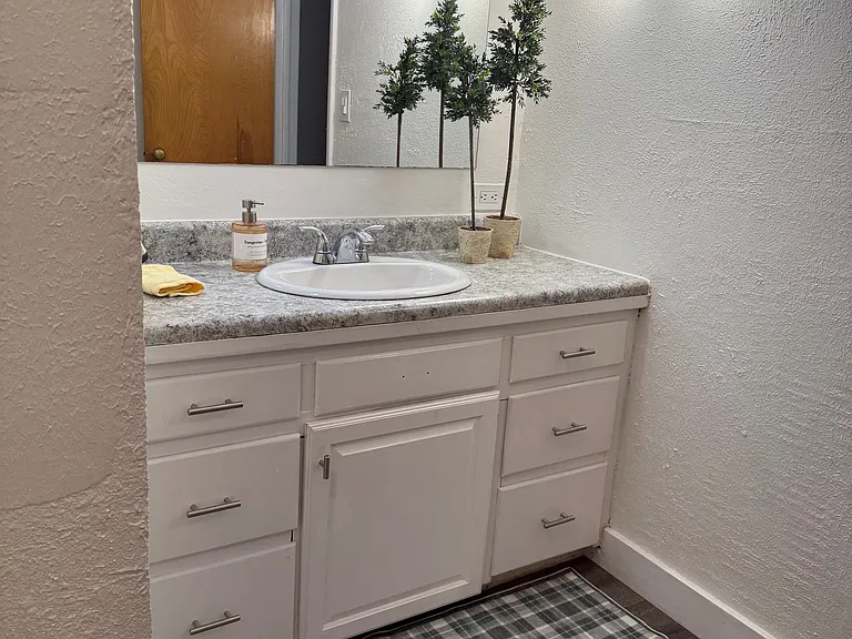 Hall bath vanity