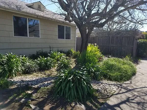 Front yard
