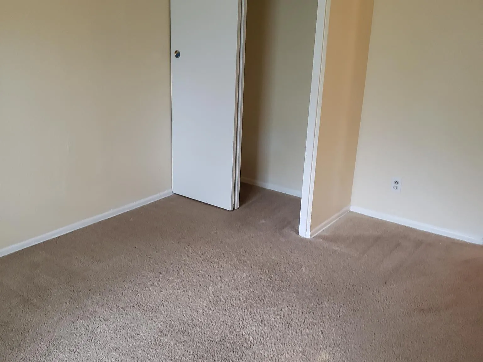 2 bed, 784 sqft, $1,100 — Photo 2