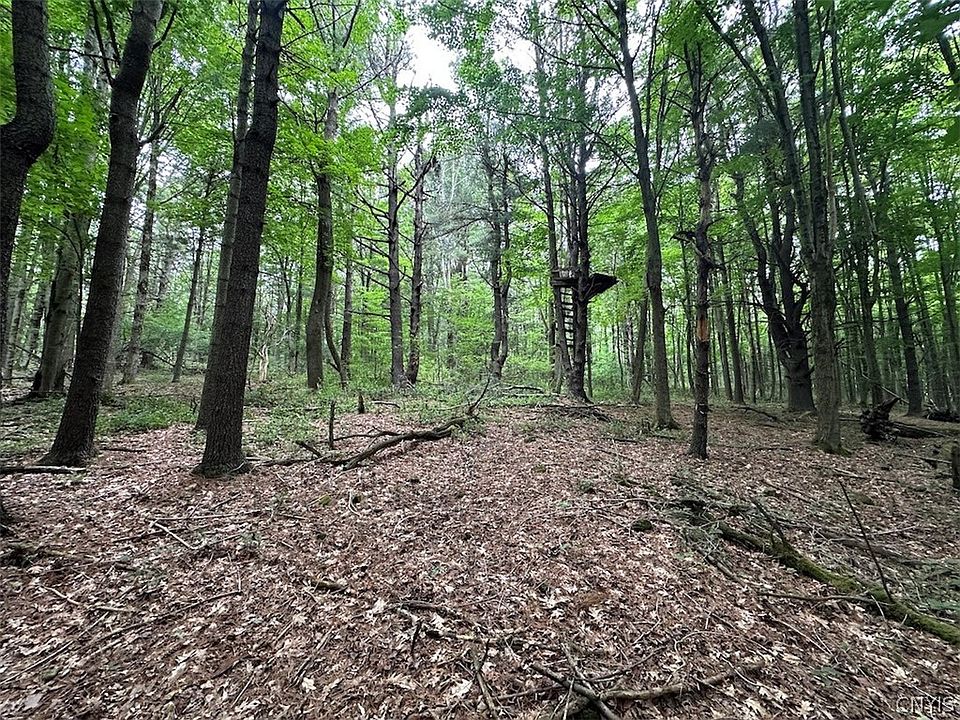 1st image of Flat Iron Rd