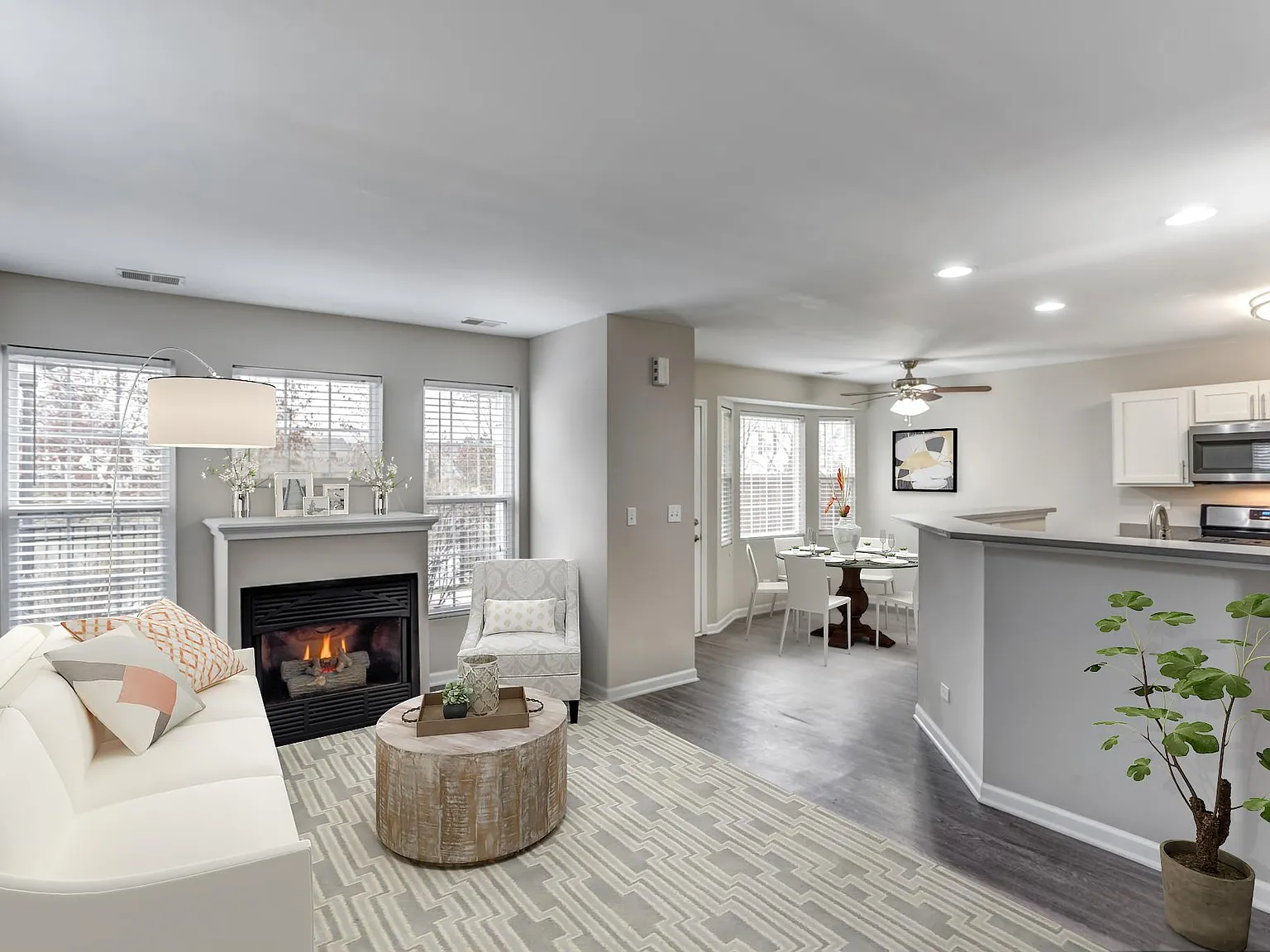 Lakeview Townhomes at Fox Valley — Photo 1