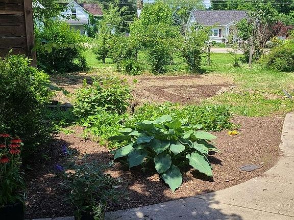 Shared southern exposed garden. Seven raised beds, raspberry, fruit trees, blueberries, strawberry bed. Stone steps lead to basement.