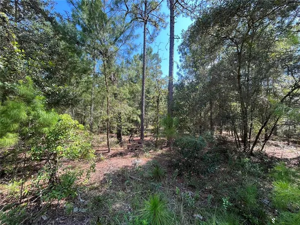 6129 Juilliard Ave #4, Keystone Heights, FL 32656